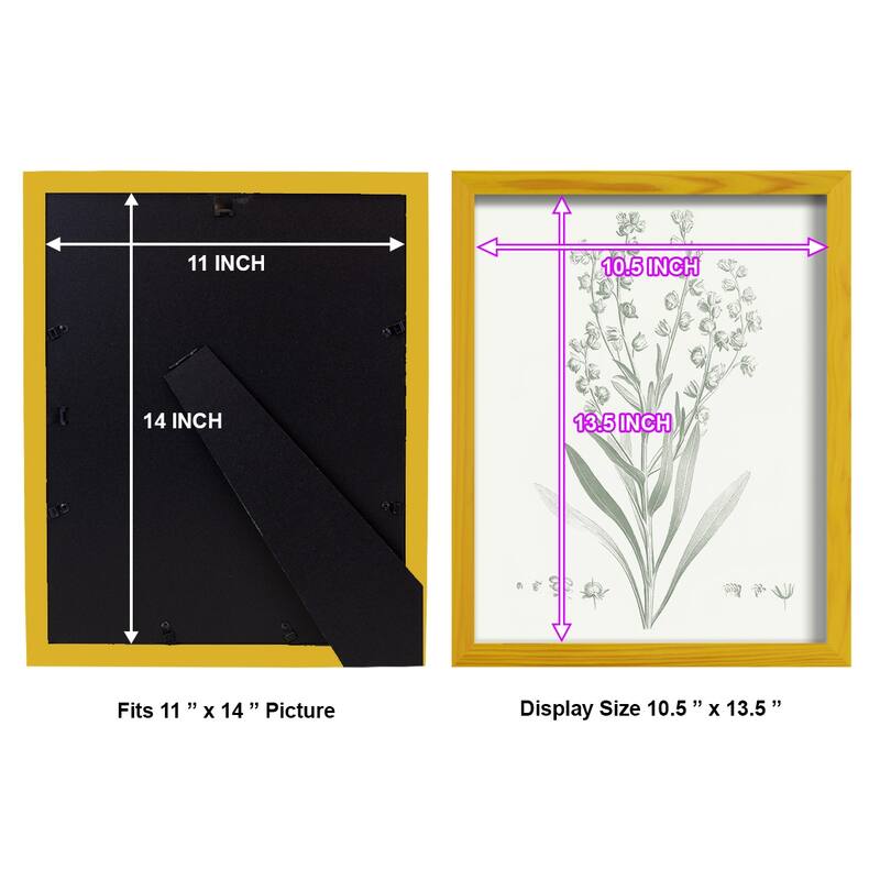 Botanical Study in Sage I -Framed Print w/glass-Cherry Red