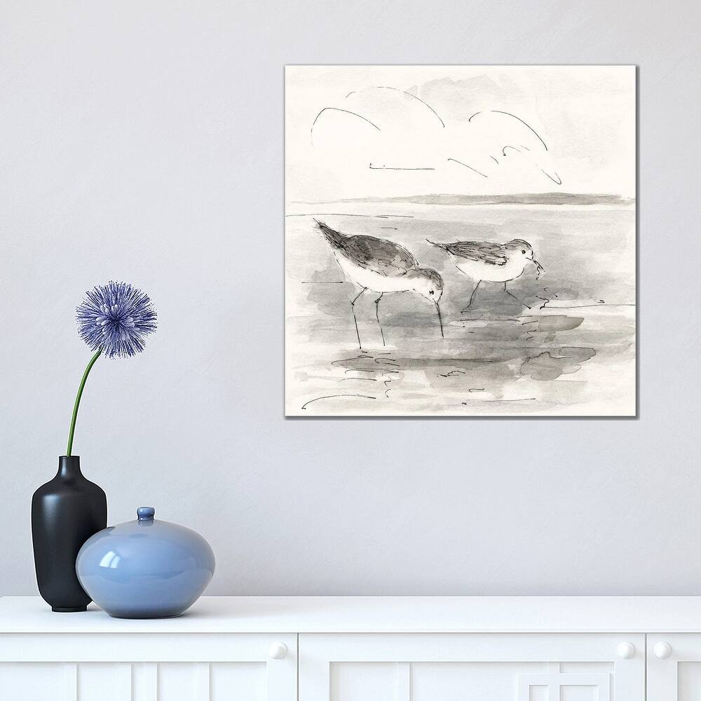 iCanvas "Sand Piper I" by Sally Swatland Canvas Print