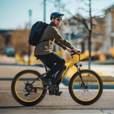 Electric Bicycle for Aldults, Can Climb