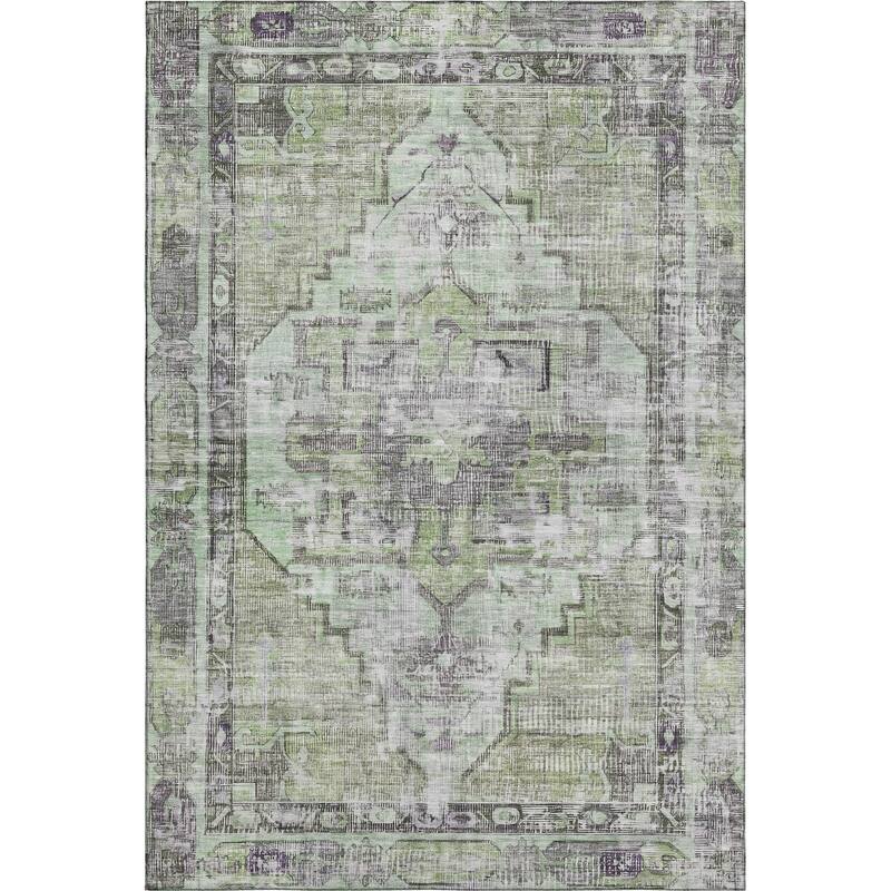 Premium Washable Super Soft Vintage Traditional Mayfield Rug