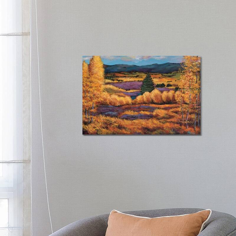 iCanvas "Colorado" by Johnathan Harris Canvas Print - 18x26x1.5