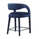 preview thumbnail 23 of 44, Pinnacle Performance Velvet Counter Stool Set of Two