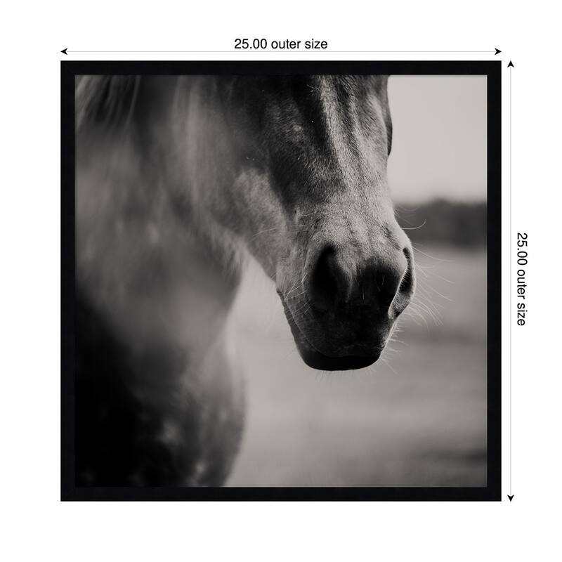 Kate and Laurel Horse Like Velvet by Laura Evans Framed Wall Art Print