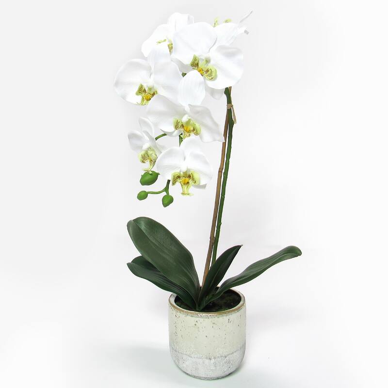 White Artificial Phalaenopsis Orchid Flower Arrangement in Half Glazed Ceramic Pot 22in - 22" H x 9" W x 6.5" DP
