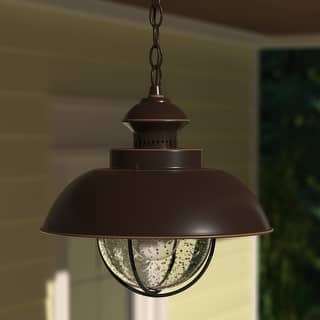 Harwich 1 Light Bronze Coastal Outdoor Barn Dome Pendant Clear Glass - 10-in W x 10.75-in H x 10-in D