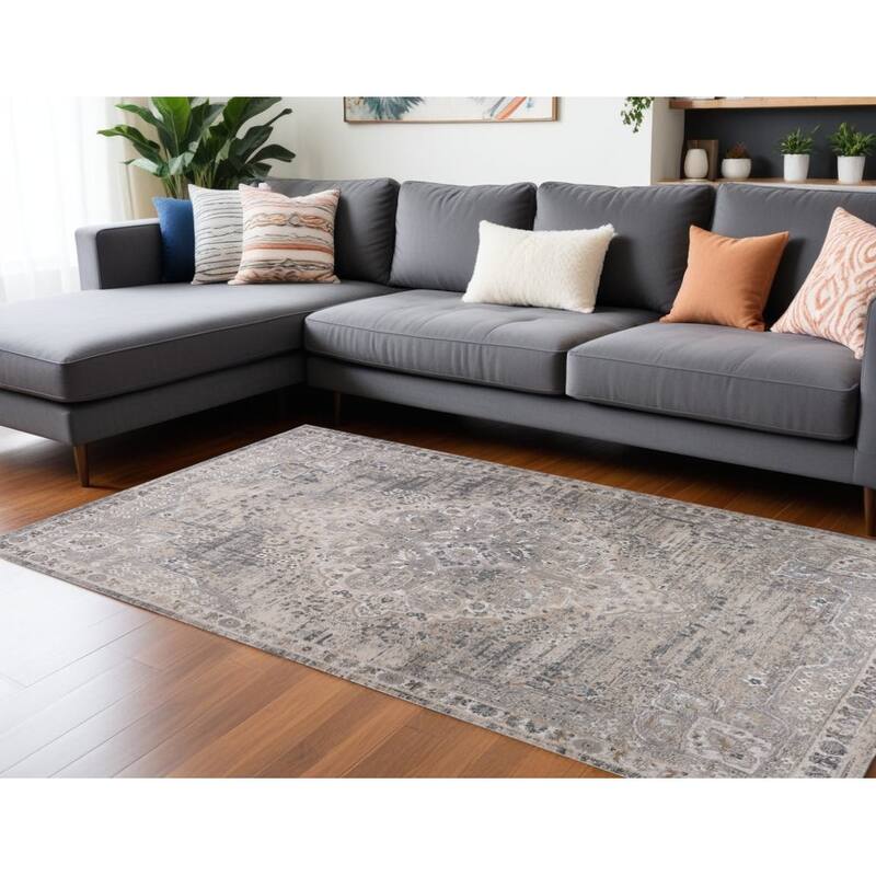 Bike Distressed Stain Resistant Woven Durable Area Rug By HomeRoots - 7' X 10' - Gray and Beige - Rectangle