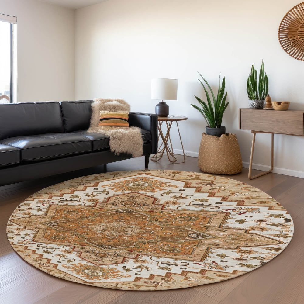 Premium Washable Super Soft Traditional Oriental Mayfield Rug