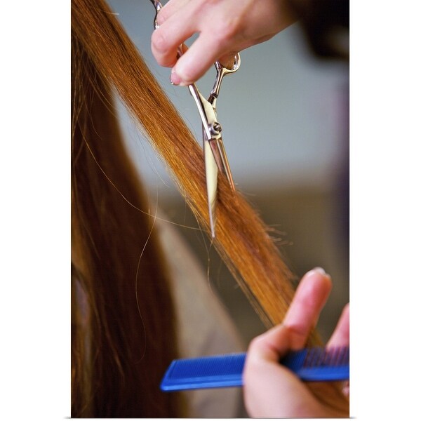 "Close-up of hairdresser cutting customer'shair, Hair Salon" Poster Print