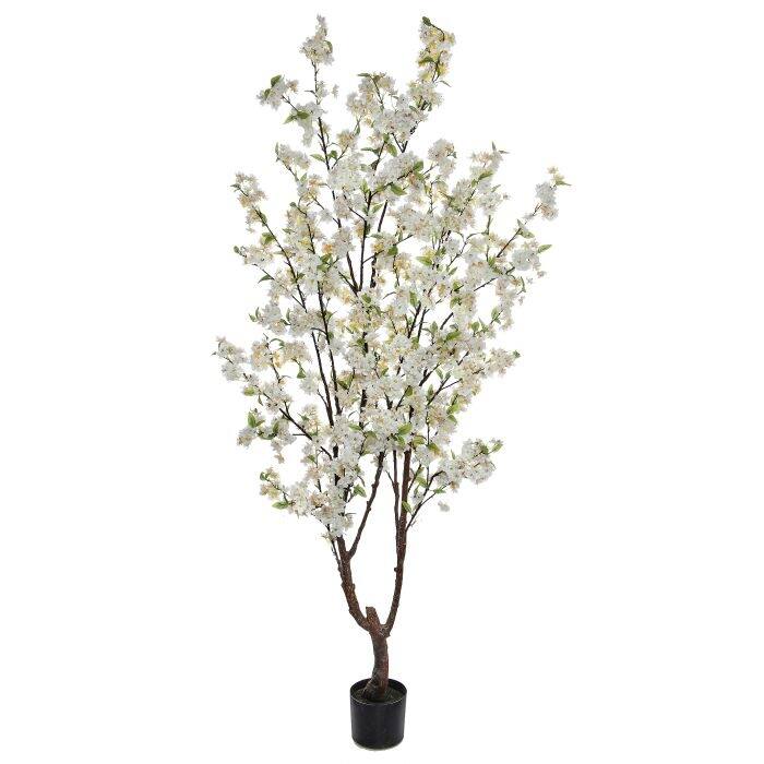 Potted Cherry Blossom Tree 6.5'