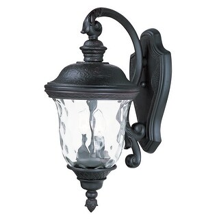 Carriage House VX 2-Light Outdoor Wall Lantern