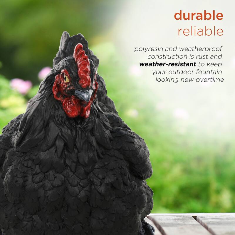 Magnesium Oxide Resting Black Hen Statuary