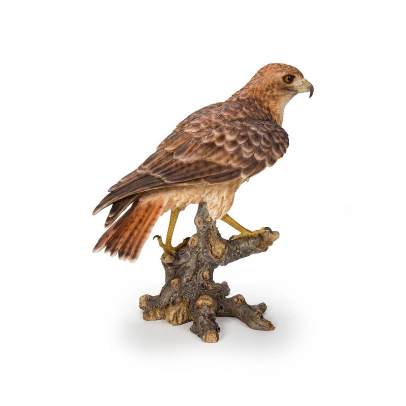 Wild Hawk on Branch Outdoor Garden Statue - 17.5" - Brown