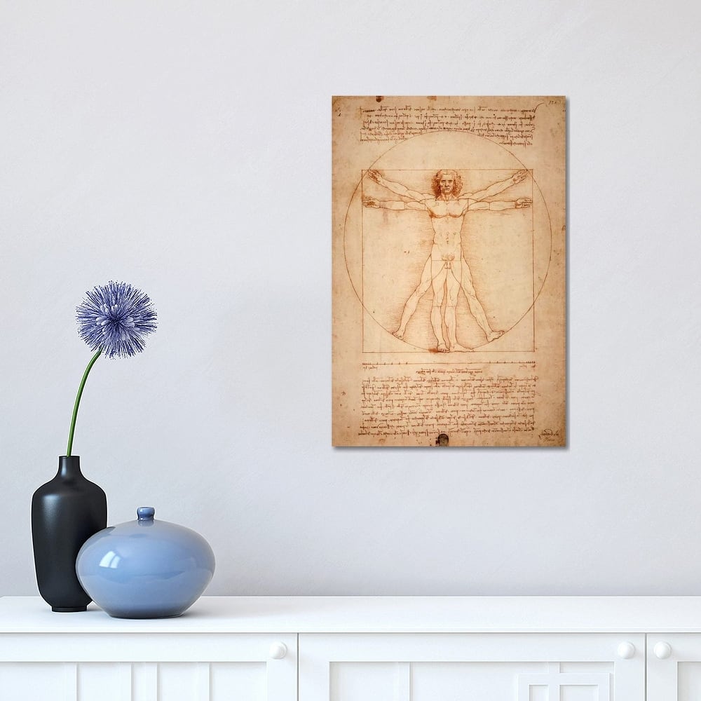 iCanvas "Vitruvian Man, c. 1490" by Leonardo da Vinci Canvas Print