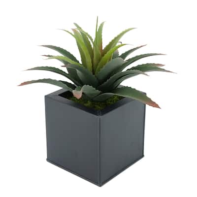 Faux Star Succulent in Square Zinc Planter