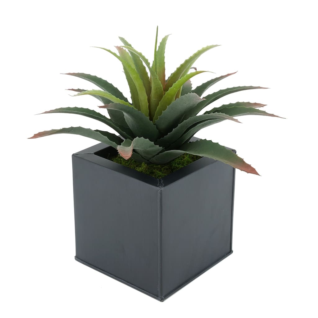 Faux Star Succulent in Square Zinc Planter