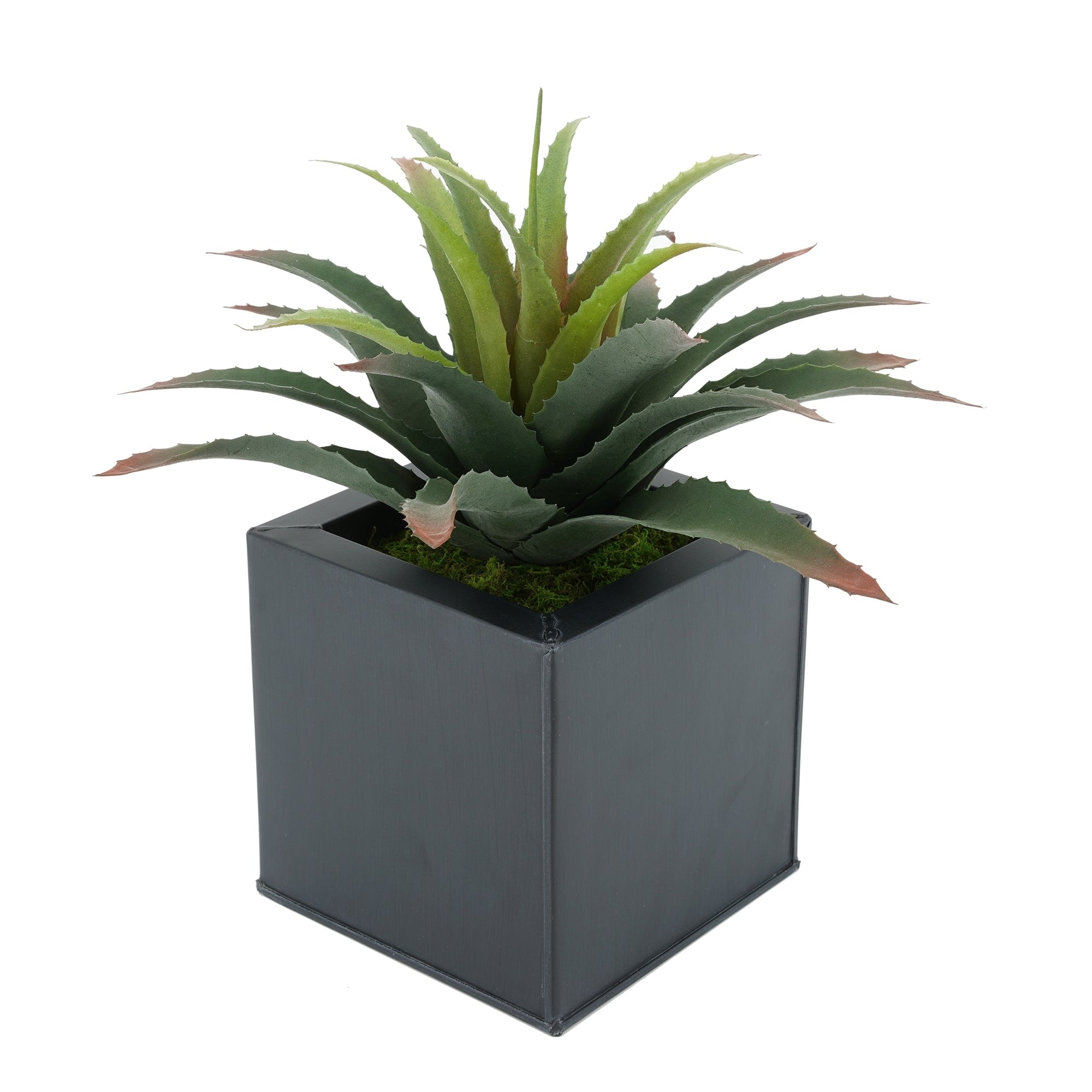 Faux Star Succulent in Square Zinc Planter