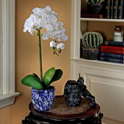22 Inch Potted Orchid in Asian inspired Pot