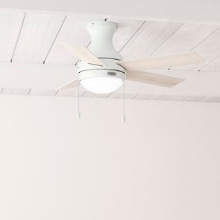 Hunter 44" Aren Low Profile Ceiling Fan with LED Light, Pull Chain