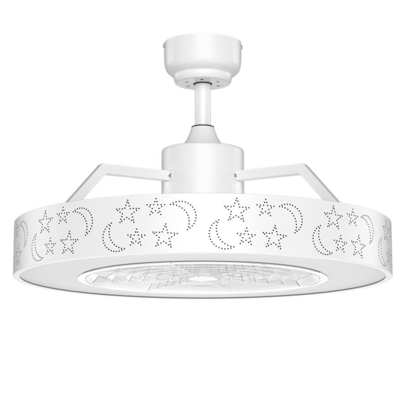23 Inch LED Light and Remote Control Ceiling Fan