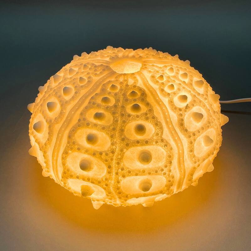 Coastal Sea Urchin Lamp, 12" Resin Sculpture With Warm Glow, Decorative Accent - 7 X 11.5 X 11.5 inches