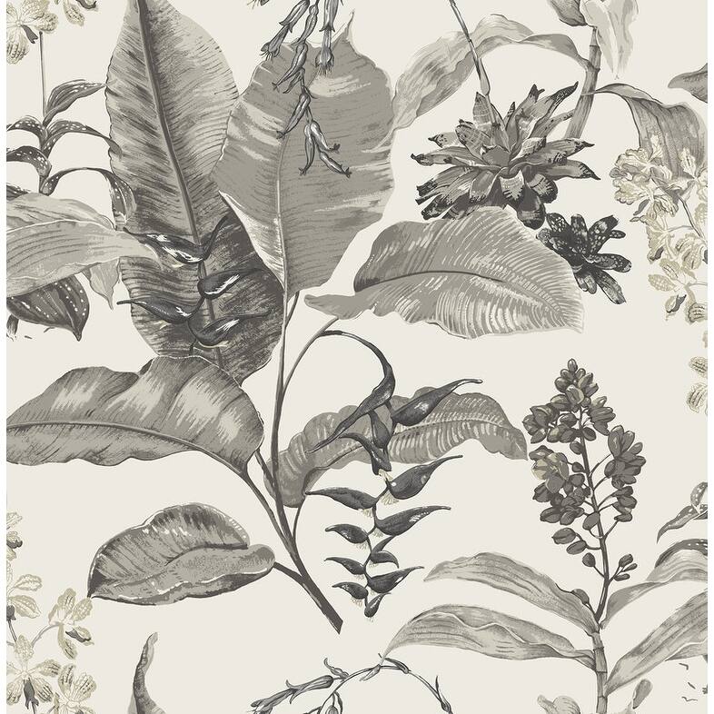 Kenneth James Maui White Botanical Wallpaper - 20.5in x 396in x 0.025in