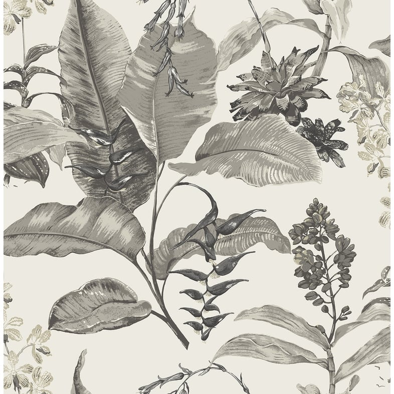 Kenneth James Maui White Botanical Wallpaper - 20.5in x 396in x 0.025in