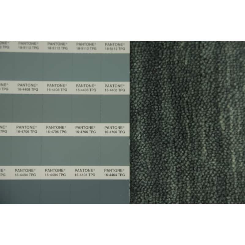 Hand Knotted Oriental 100% Wool Carpet Tribal Animal Pictorial Green Gabbeh Area Rug - 9' 11'' X 8' 4''