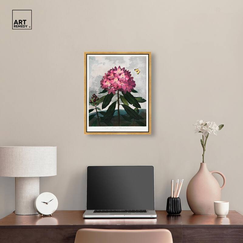 Pontic Rhododendron 1807 Canvas by Art Remedy