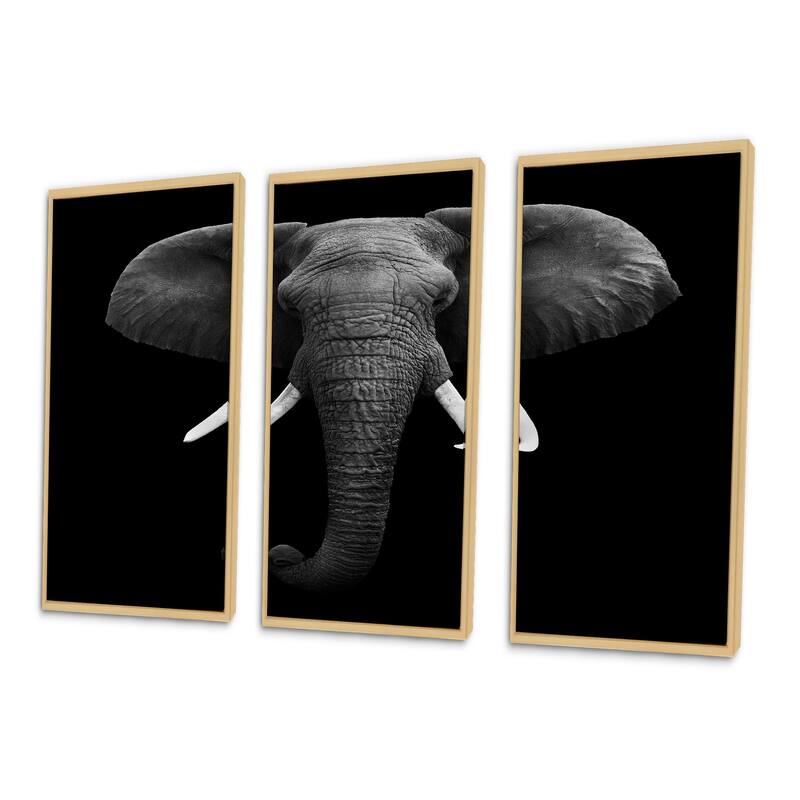 Designart "African Elephant " Animal Framed Wall Decor Set of 3 4