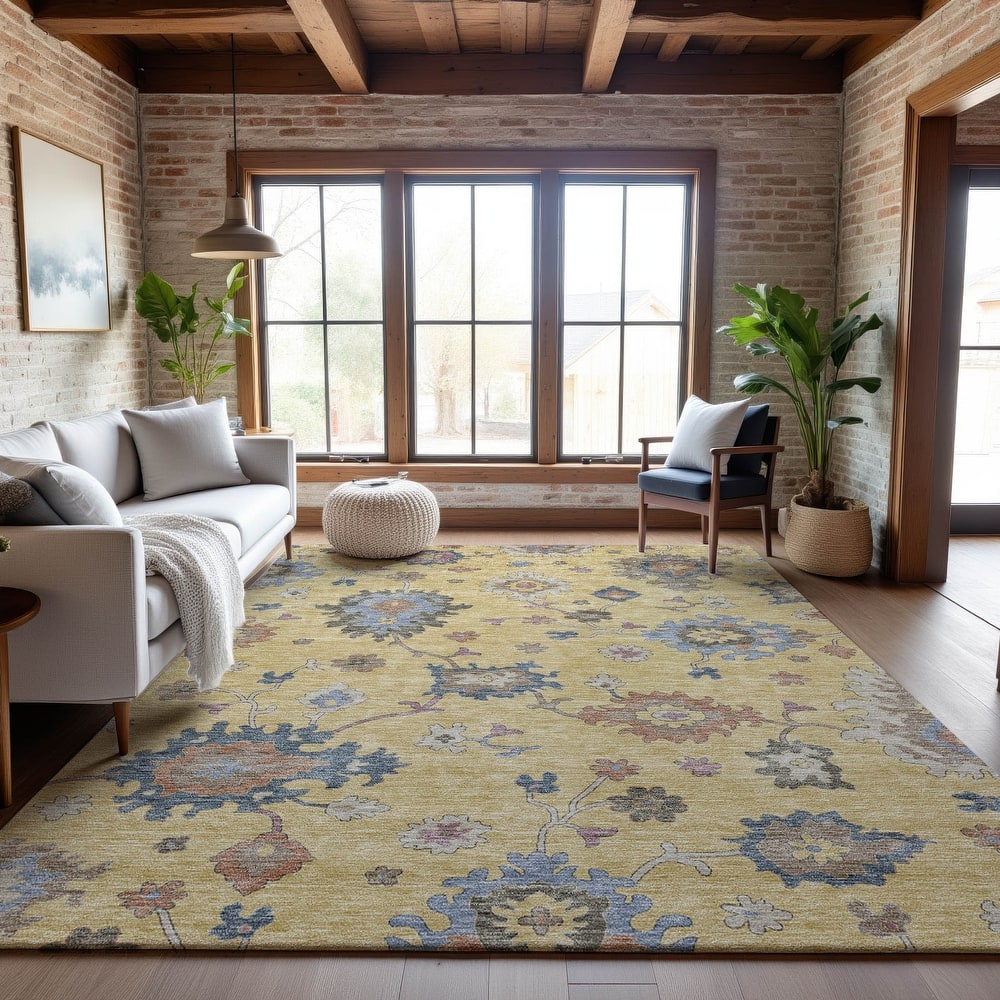 Premium Washable Super Soft Traditiional Spaces Mayfield Rug