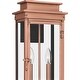preview thumbnail 4 of 2, Noelle 2-Light Aged Copper Outdoor Wall Lantern
