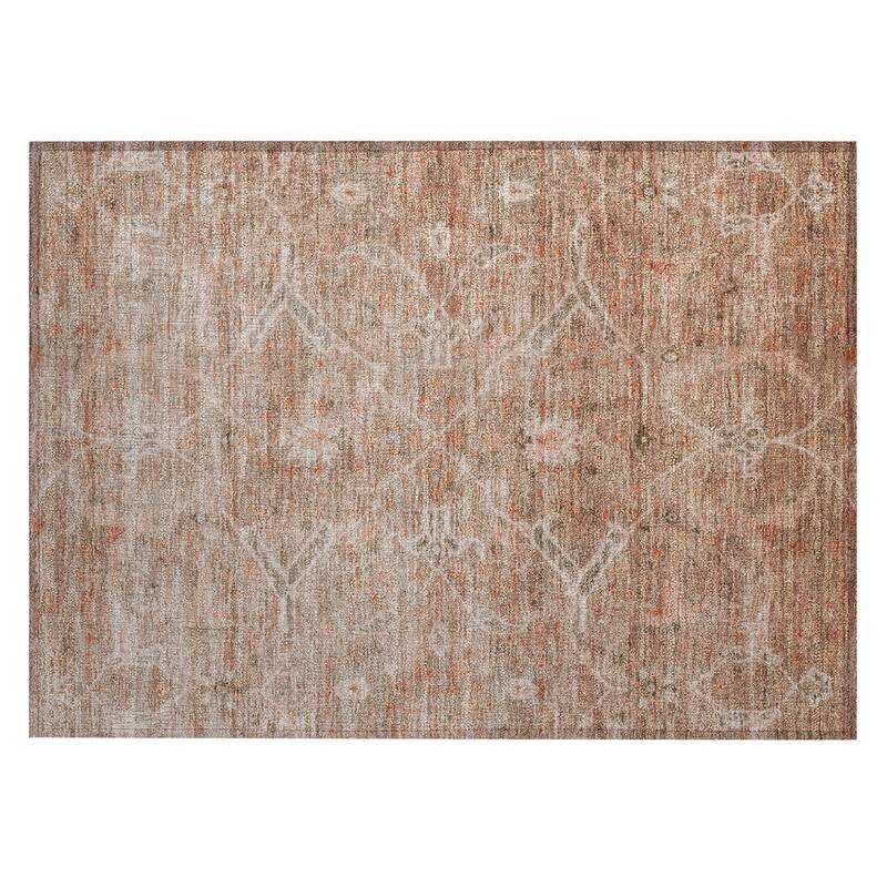 Machine Washable Indoor/ Outdoor Vintage Traditional Chantille Rug