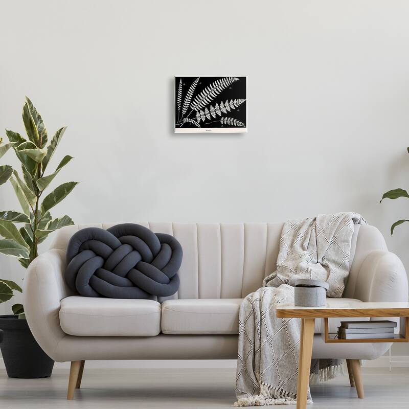 Stupell Fern Studies on Black Wall Plaque Art Design By Phillipa Katz