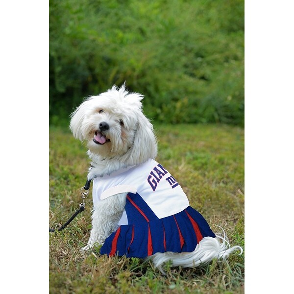 dog jets jersey