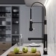 preview thumbnail 44 of 122, Kraus Artec 2-Function Commercial Pulldown Pot Filler Kitchen Faucet