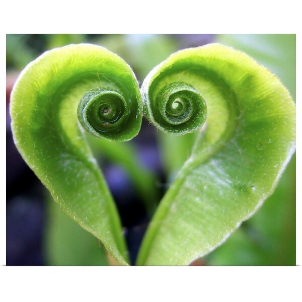 "Nature's Green Heart" Poster Print