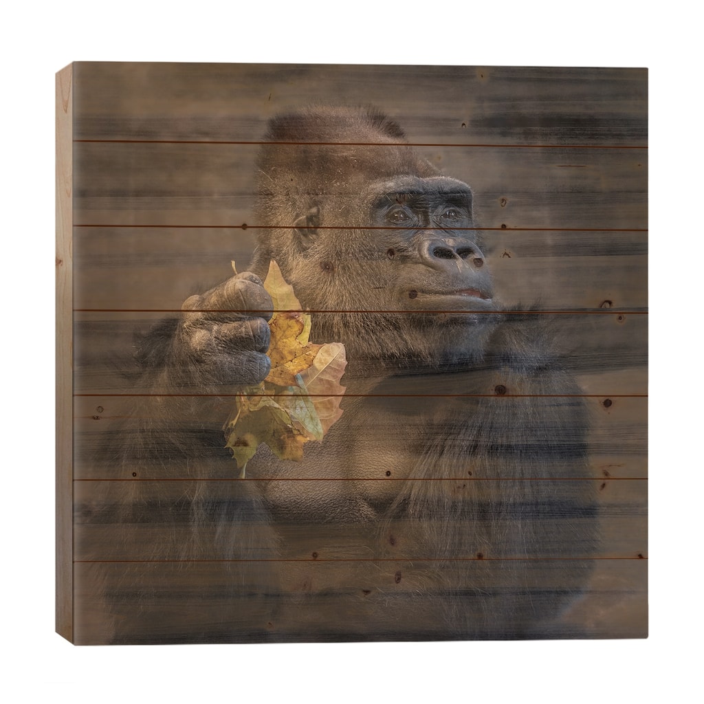 Smile Its Autumn Print On Wood by Louis Ruth - Multi-Color