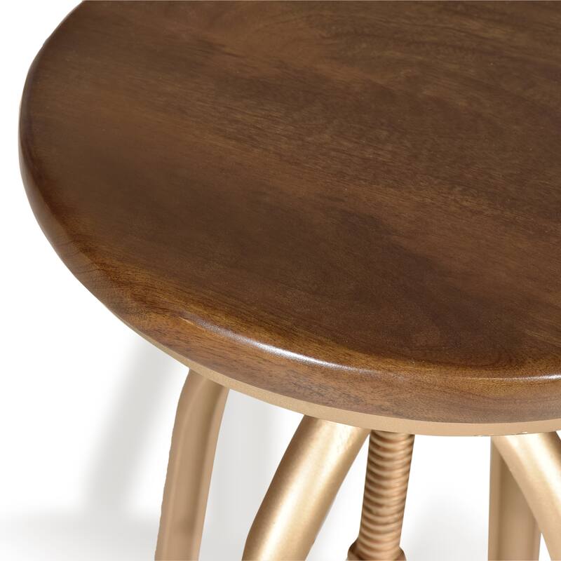 Adjustable Ryder Stool