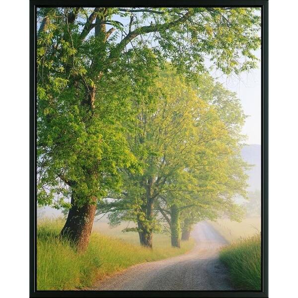 Shop Easy Art Prints Adam Jones S Fog Covered Road Premium Canvas Art Overstock 25742678