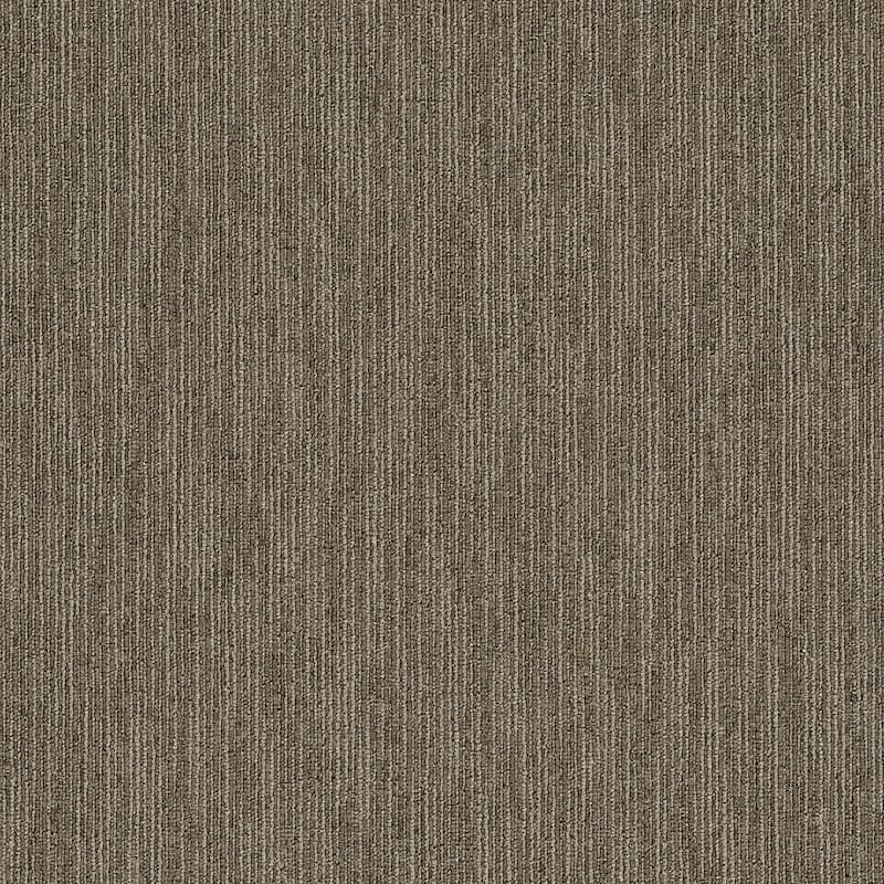 Shaw Philadelphia Commercial Dynamo 24" x 24" Glue Down Carpet Tile - - Scholarly