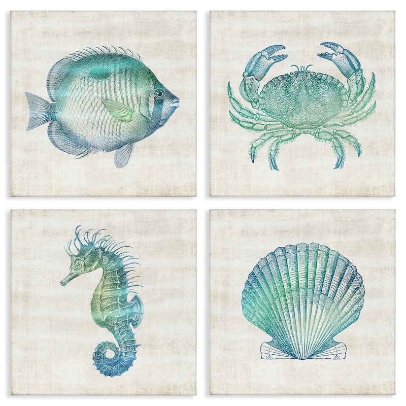 Stupell Aquatic Sea Life Impressions Canvas Wall Art Design By Susan Arnot (Set of 4) - 17 x 17