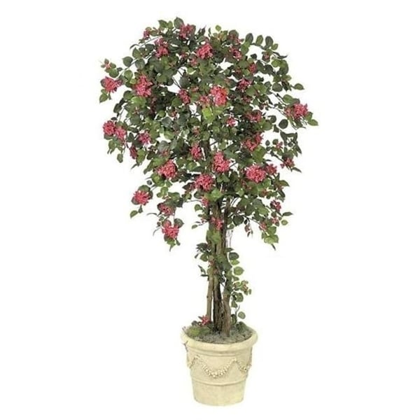 Autograph Foliages W-926 - 6 Foot Bougainvillea Tree - Beauty