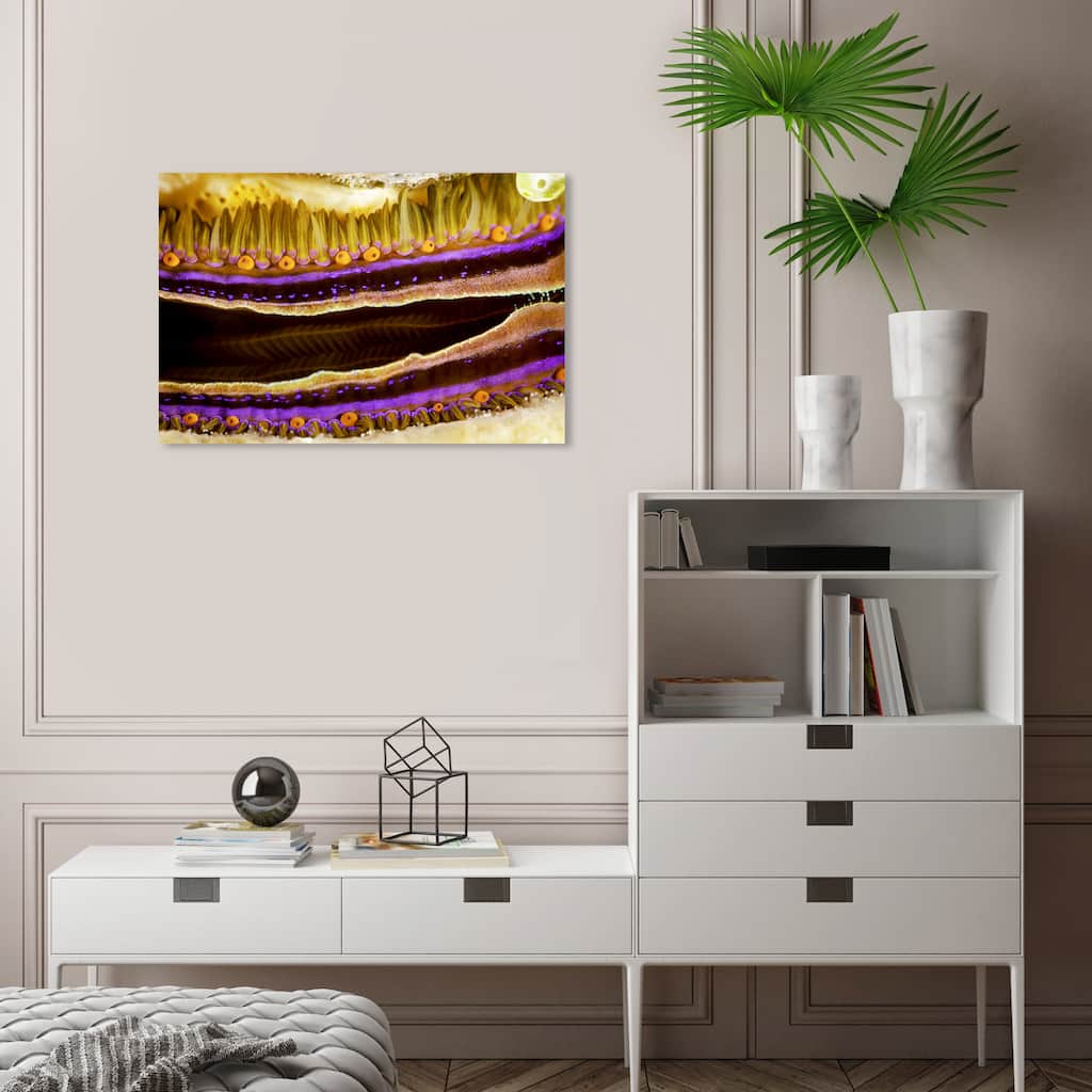 Wynwood Studio Nautical and Coastal David Fleetham - Coral Boring Scallop II Yellow Nautical & Coastal Wall Art Canvas Print