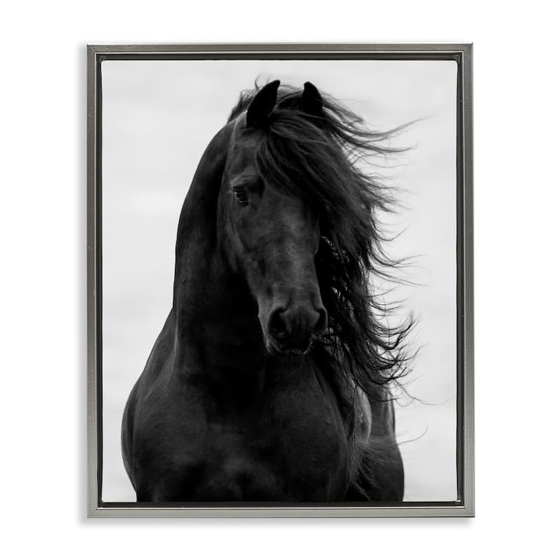Stupell Black Stallion Horse Portrait Soft Grey Sky Photography Floater Frame