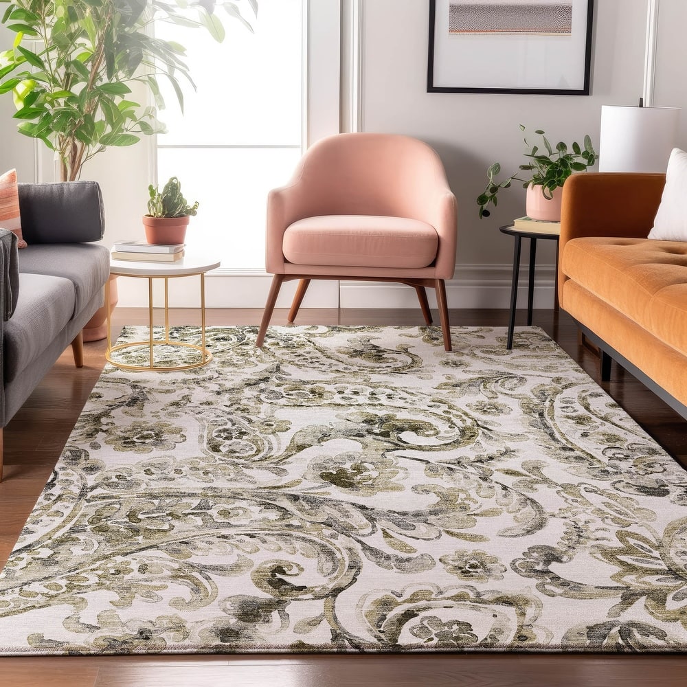 Premium Washable Super Soft Modern Paisley Mayfield Rug