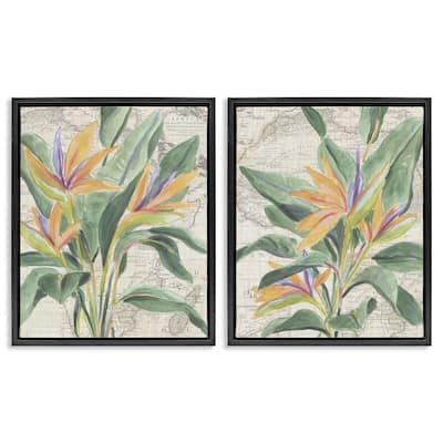 Stupell Flowers over Vintage Map Framed Floater Canvas Wall Art Design By June Erica Vess (Set of 2)