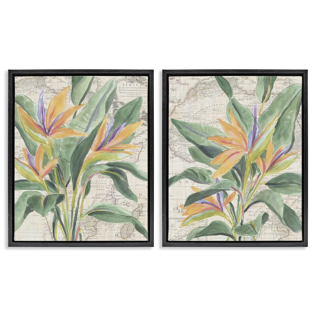 Stupell Flowers over Vintage Map Framed Floater Canvas Wall Art Design By June Erica Vess (Set of 2)