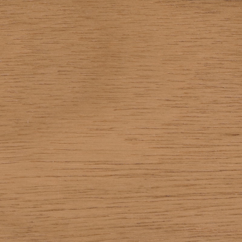 Modern Brazilian - Hara - Accent Chair - Harvest Natural Upholstery - Nozes Frame