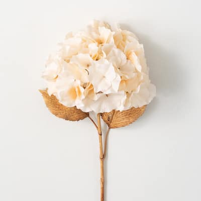 27.5"H Sullivans Billowy Soft Cream Hydrangea, Cream - 8"L x 8"W x 27.5"H