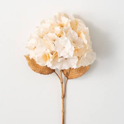 Sullivans 27.5 in. Billowy Soft Hydrangea; Cream - 8"L x 8"W x 27.5"H